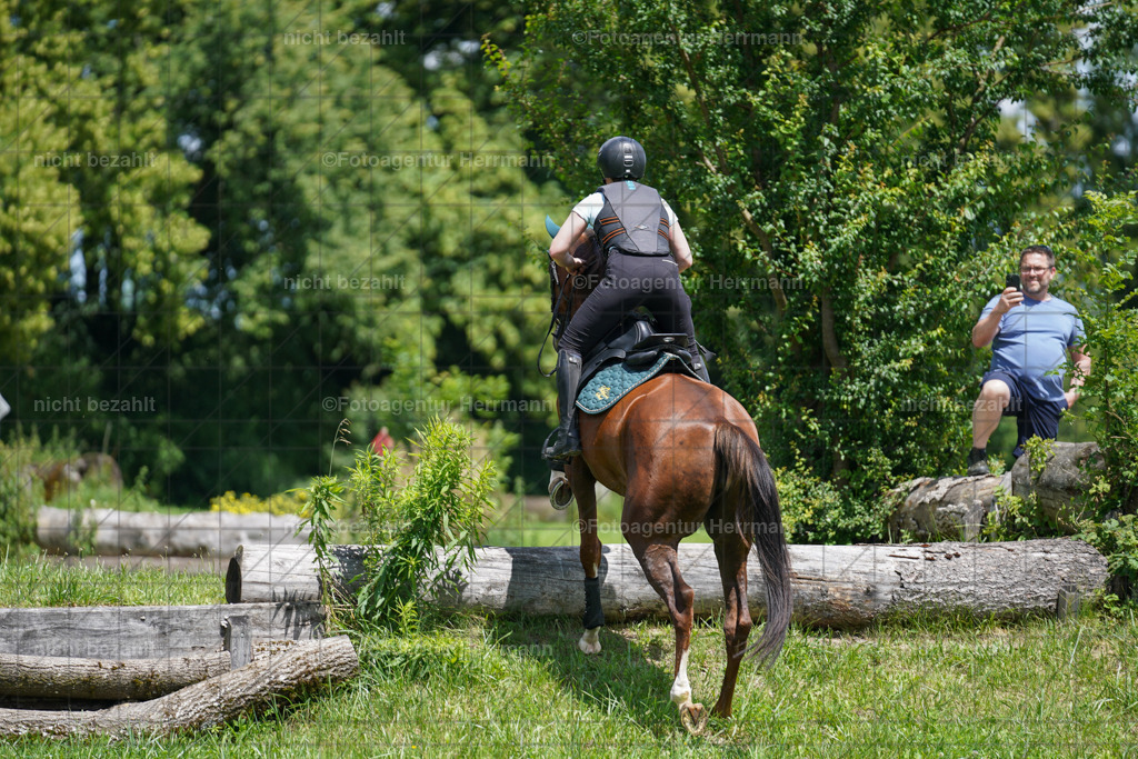 20240622-FAH07015 | Turnierfotografen Bayern, Reitsportbilder aus dem Geländekurs mit Felix Etzel auf dem Gut Waitzacker 2024