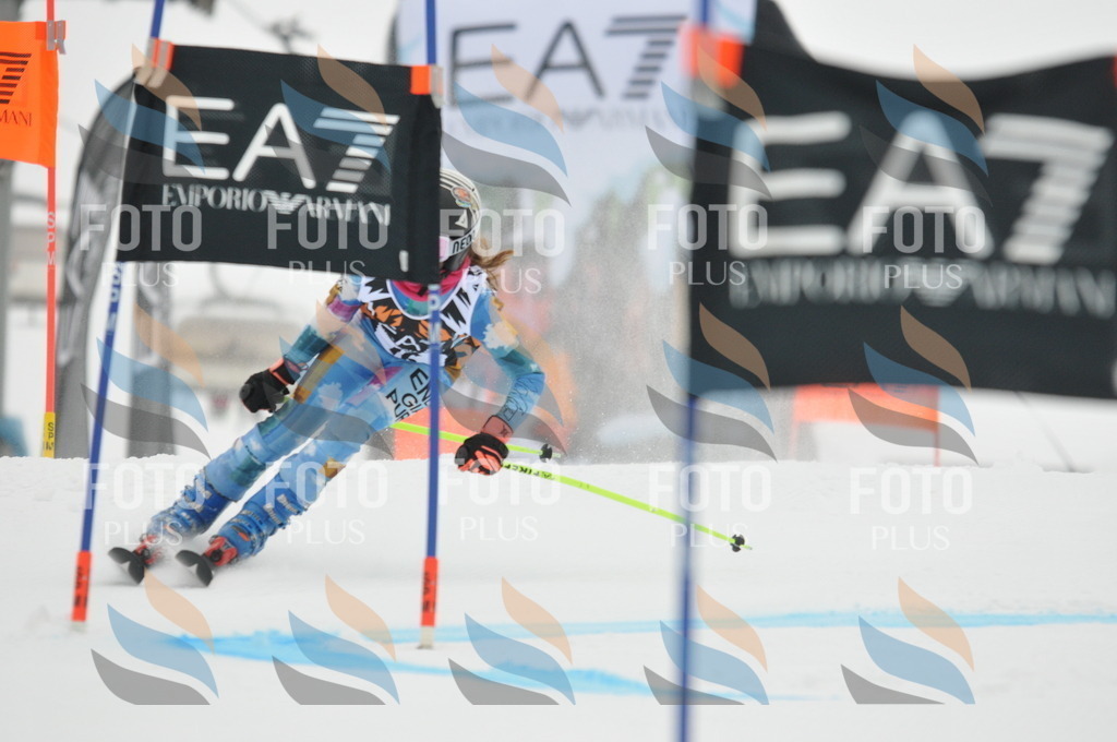 DSC_7430 | holidayphoto