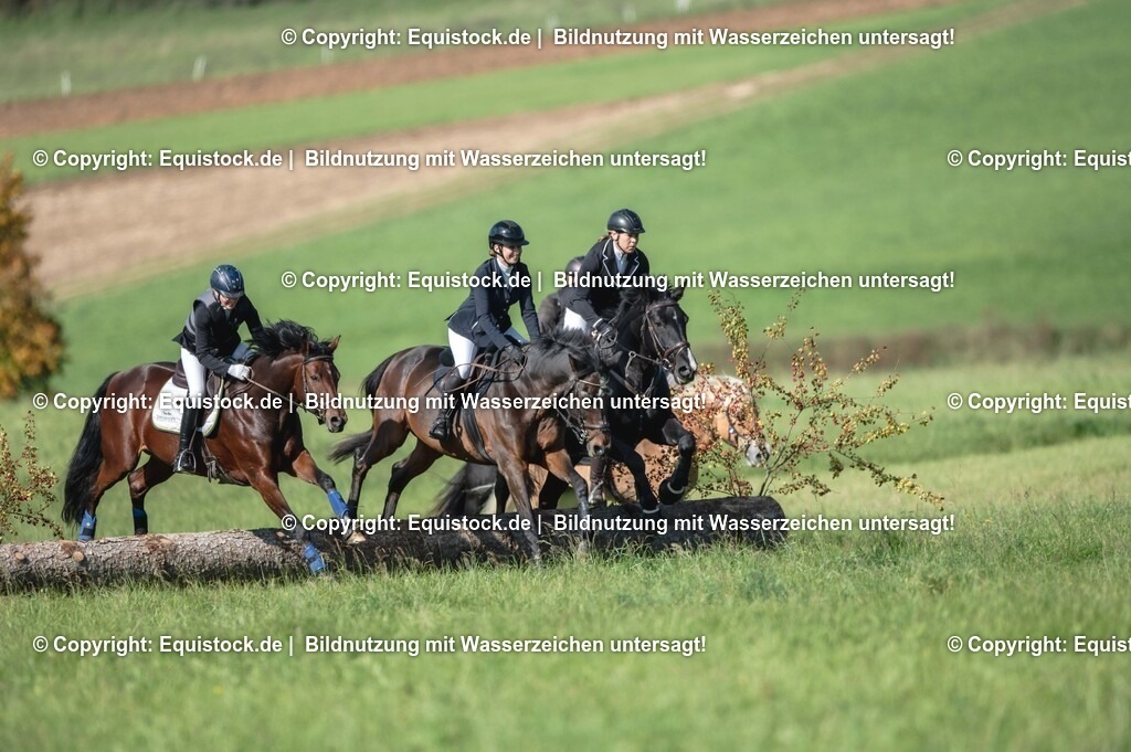 20251011_Jagd-Marbach_0260 | Foto: Thomas Hartig