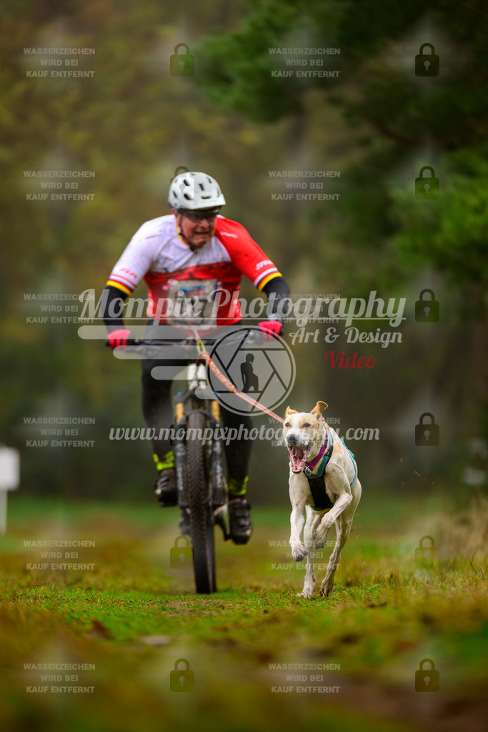 MompixPhotography_Bischwiller2025_Bike-91 | mompixphotography