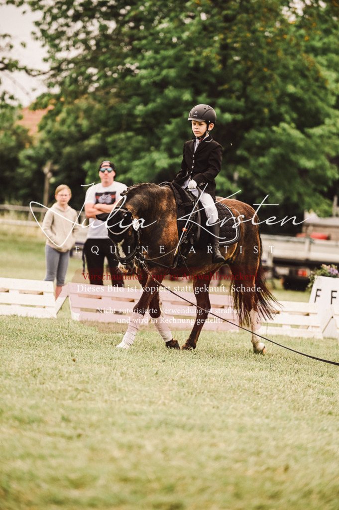 DSC_5319 | Pferde- und Turnierfotografie in Westsachsen. Pferdeportraits, Auftragszeichnungen und intuitive Kunst.