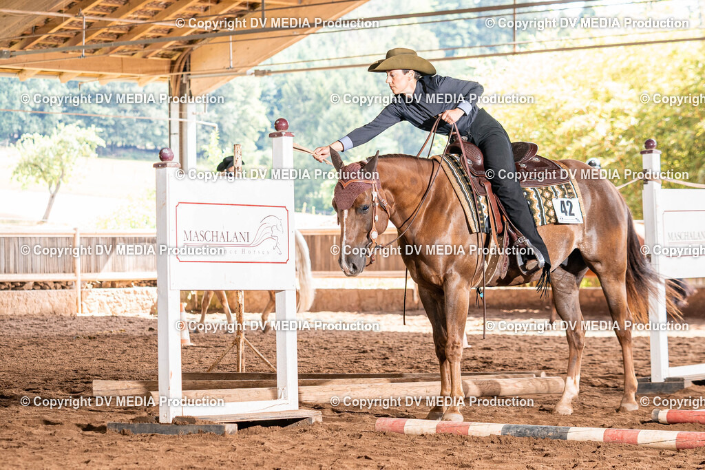 Erbach Tag 2-386 | dv-media-shop - Realisiert mit Pictrs.com