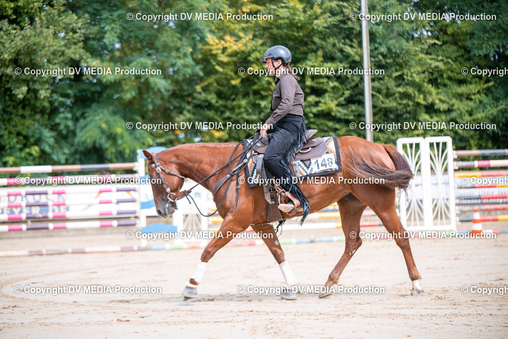 ZS3_5024 | dv-media-shop - Realisiert mit Pictrs.com