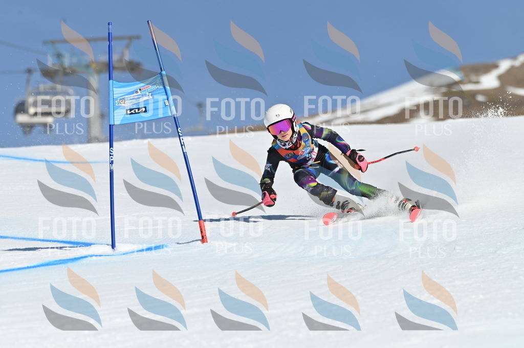 BGV_7794 | holidayphoto