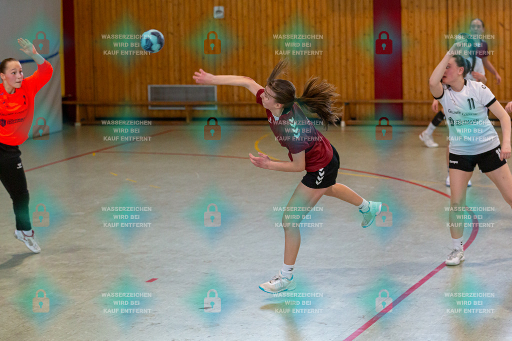 _HP_1533_3000o | JSG Welling-Bassenheim gegenAG AV 64 Zweibrücken 09.03.2024