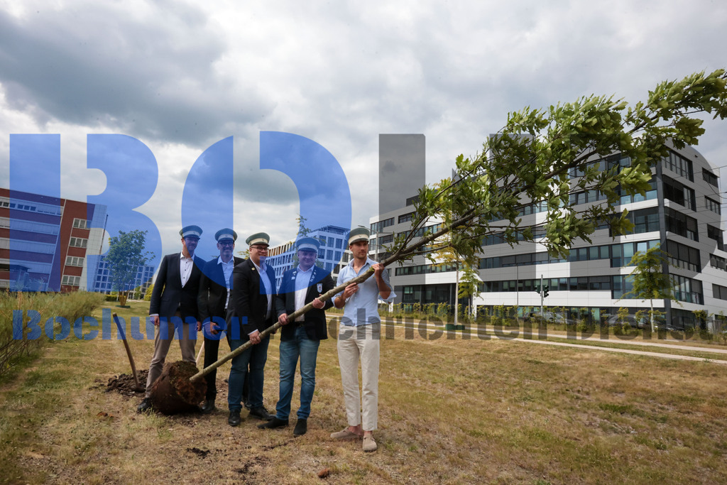 Eicheingrabung | Eicheingrabung - Realisiert mit Pictrs.com