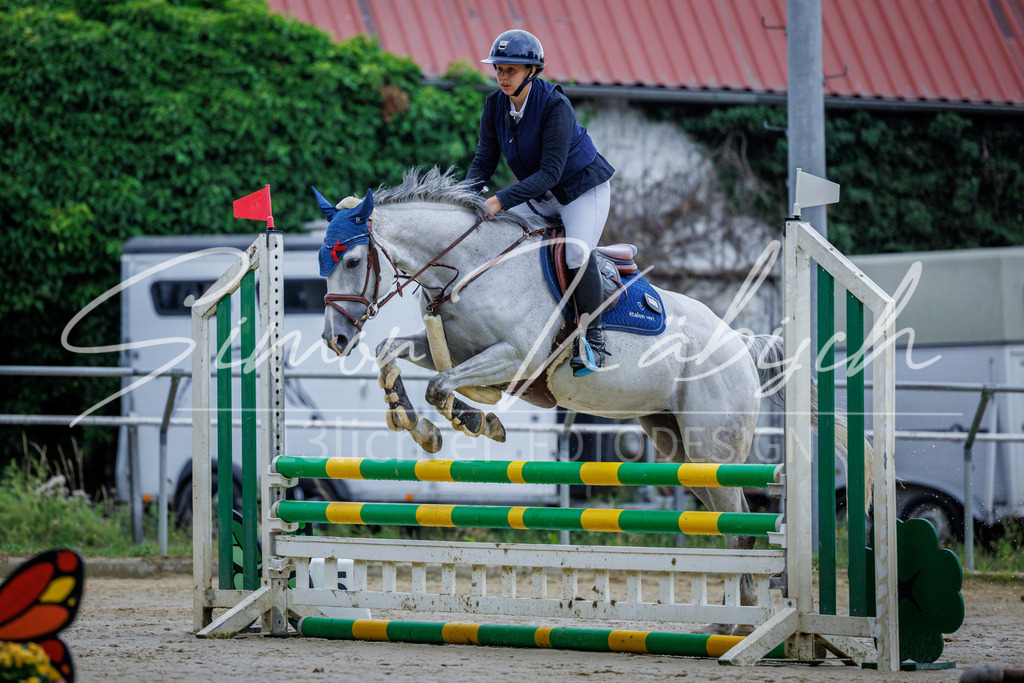 20260705-_3LI3426 | Tierfotografie Pferde, Hunde, Katzen, Haustiere.
Turnierfotografie Reitturniere, Reiten, Springreiten, Dressur in Hanau, dem Main-Kinzig-Kreis und dem Rhein-Main- Gebiet um Frankfurt
