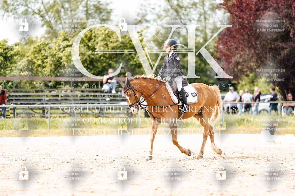 CK902476 | Turnierfotografie Pferdefotografie Trier Rheinland-Pfalz Pferdesport Reitsport Tierfotografie Sportfotografie Pferdevideo Pferdevideografie Equestrianvideography equestrianphotography  - Realisiert mit Pictrs.com