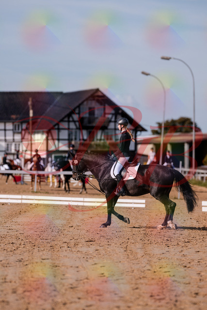 2026_10_03_Siefer-Hof_115442_Z81_94281570 | Professionelle Reitsport-, Turnier- und Eventfotografie von Robert Broda. Galerien mit ausgewählten und bearbeiteten Bildern direkt online ansehen und bestellen.