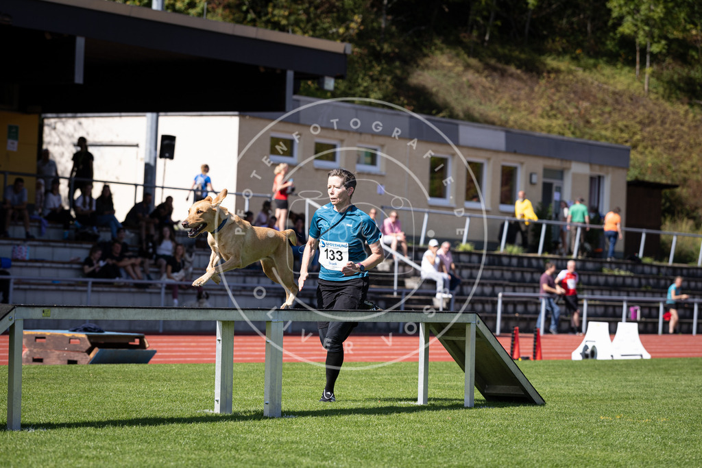 Pfotenfotografie_DV3A8867 | Hundefotografie, Tierfotograf, Pfotenfotografie, Fotoshooting Hund, Hunde Portrait, Hundesport, Hundeportraits, Heideshooting, Hunde, Sportfotograf, Hundefotograf, Turnierhundsport, THS,  - Realisiert mit Pictrs.com