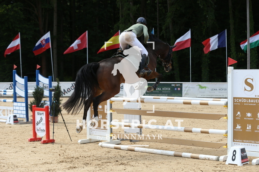 DL2Q1429 | Willkommen bei Brunnmayr - Design & Fotografie – Ihrem Spezialisten für Reitturniere und Pferdeveranstaltungen in Oberösterreich, Salzburg und Bayern! Seit über 17 Jahren sind wir leidenschaftlich dabei.