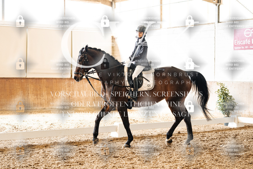 CK900480 | Turnierfotografie Pferdefotografie Trier Rheinland-Pfalz Pferdesport Reitsport Tierfotografie Sportfotografie Pferdevideo Pferdevideografie Equestrianvideography equestrianphotography  - Realisiert mit Pictrs.com