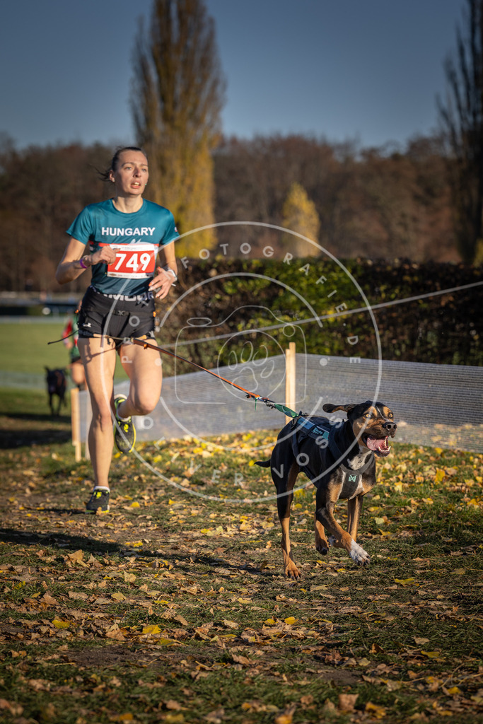 CaniXpix_DV3A2387 | Hundefotografie, Tierfotograf, Pfotenfotografie, Fotoshooting Hund, Hunde Portrait, Hundesport, Hundeportraits, Heideshooting, Hunde, Sportfotograf, Hundefotograf, Turnierhundsport, THS,  - Realisiert mit Pictrs.com