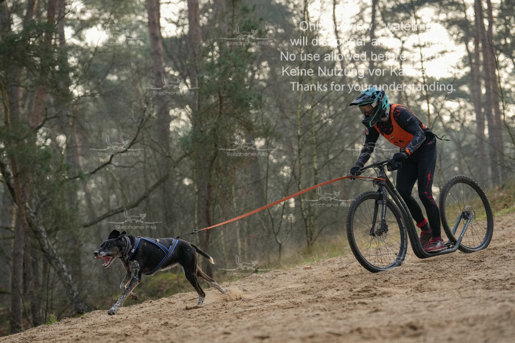 Scooter1-152 | stephaniefillaphotographie - Realisiert mit Pictrs.com