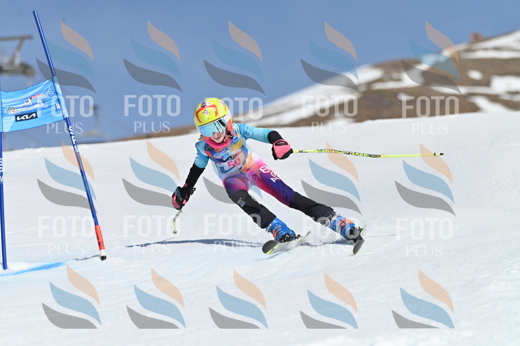 BGV_8708 | holidayphoto