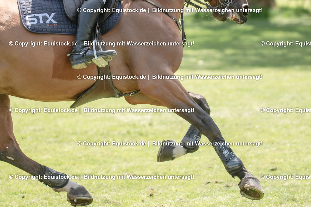 20230527_12_CSI4_Pfungstädter_0074 | equistock