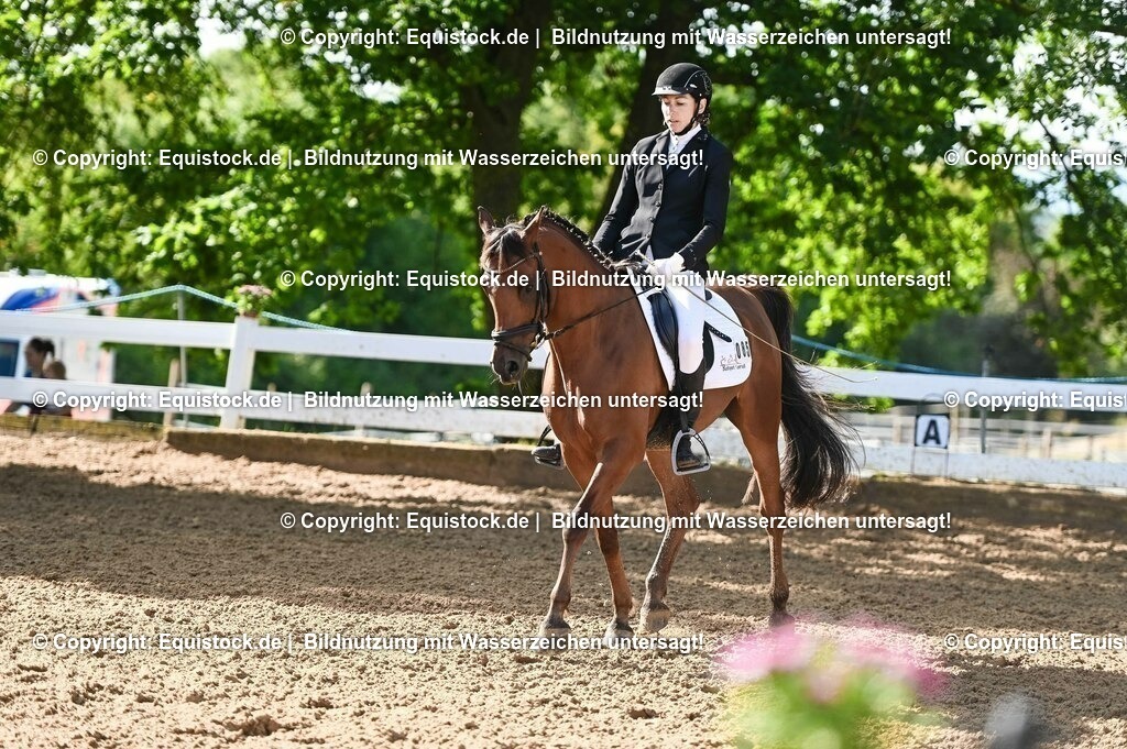 20230716_04_Dressurreiterprüfung Kl.A_0130 | equistock