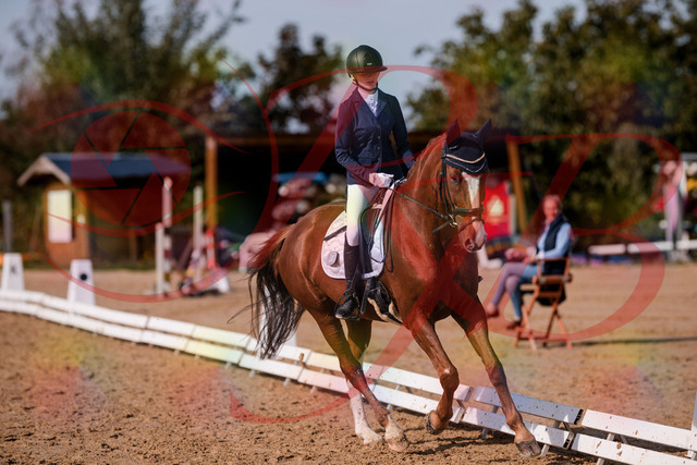 2026_10_03_Siefer-Hof_123802_Z81_35025643 | Professionelle Reitsport-, Turnier- und Eventfotografie von Robert Broda. Galerien mit ausgewählten und bearbeiteten Bildern direkt online ansehen und bestellen.
