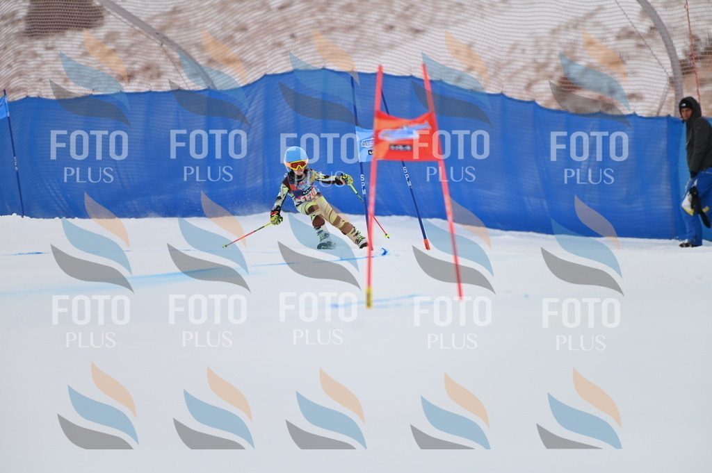 BGV_0859 | holidayphoto