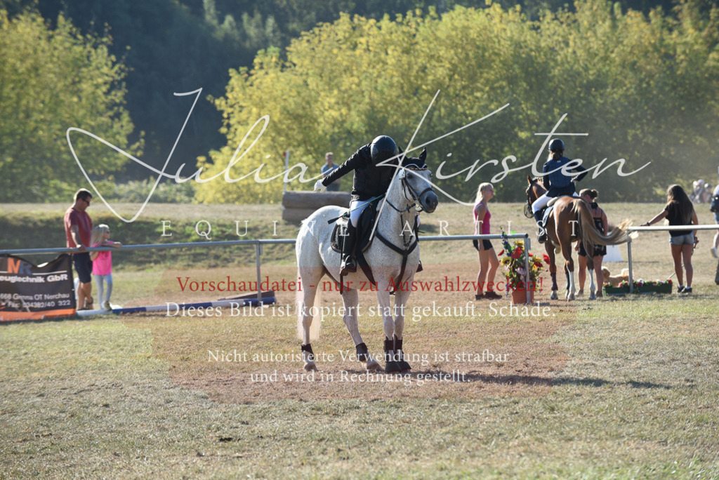 DSC_5663 | Pferde- und Turnierfotografie in Westsachsen. Pferdeportraits, Auftragszeichnungen und intuitive Kunst.