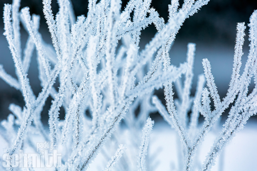 PS-Winter-2026-35 | Entdecke die größte Bildgalerie der Region mit Fotografien aus dem Allgäu, der Bodenseeregion, Oberschwaben, dem Donautal und der Schwäbischen Alb. Landschaften, Luftaufnahmen und Reisefotografie als Wandbild und Fotokunst. - Realisiert mit Pictrs.com