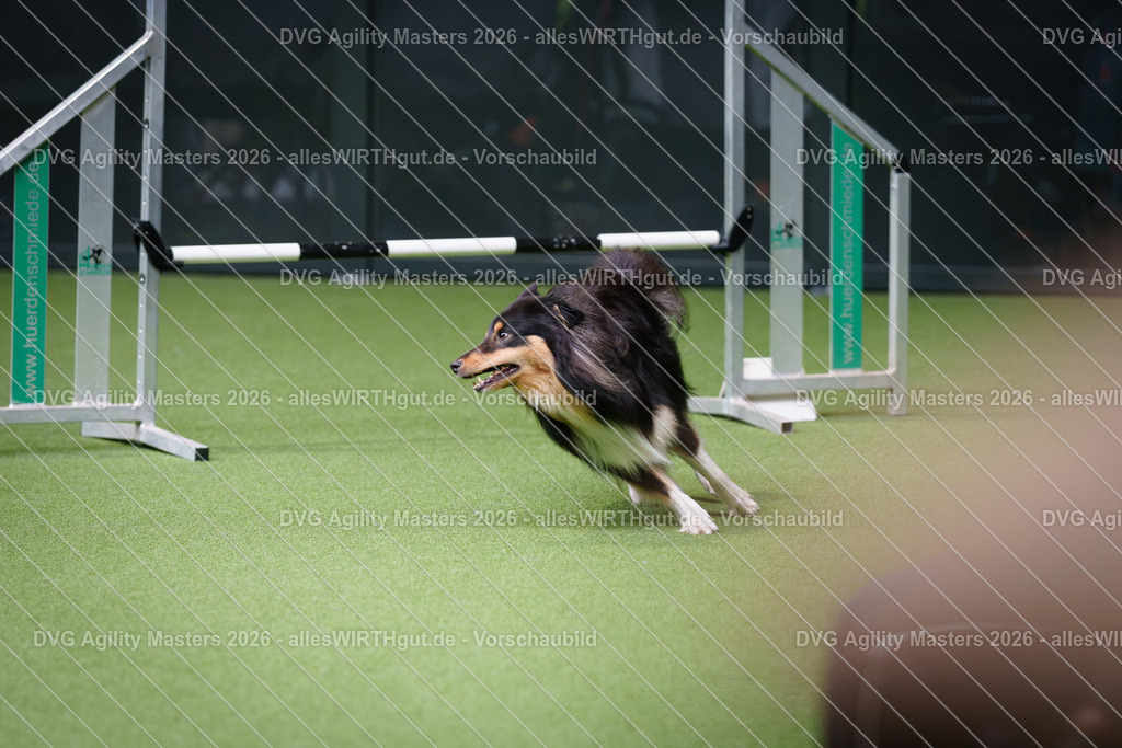 allesWIRTHgut_Tierfotografie-DVG_Agility_Masters_2026-11_12-7R505127 | Professionelle Tierfotografie in Mönchengladbach von Daniel Wirth (allesWIRTHgut). Liebevolle & natürliche Bilder von Hunden & Katzen für unvergessliche Erinnerungen.