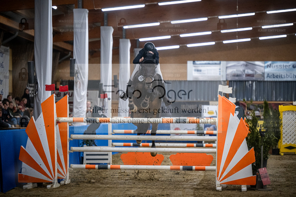 DOS_1186 | Entdecke hochwertige Reitturnierfotos von Foto Oger. Professionell, emotional und authentisch – jetzt Lieblingsmomente im Shop bestellen. - Realisiert mit Pictrs.com