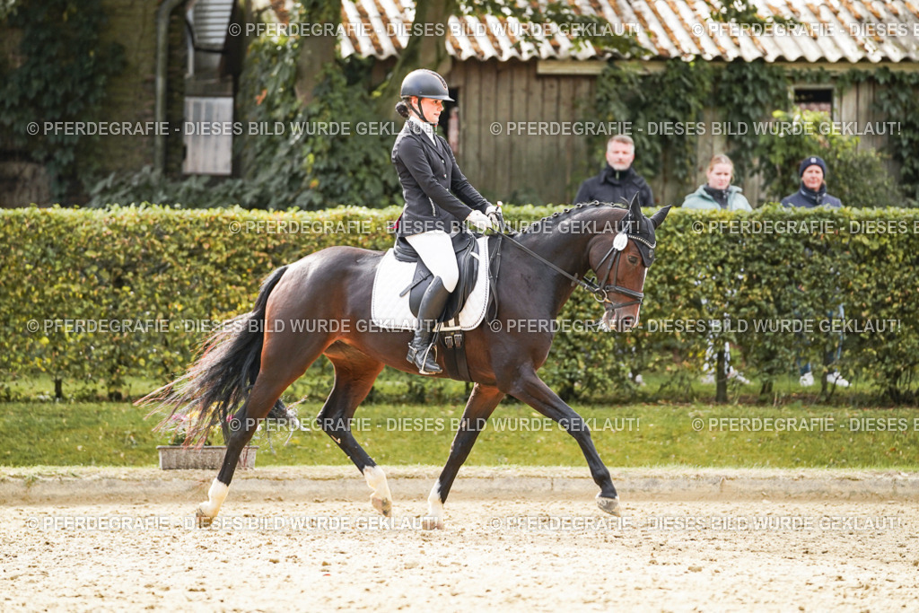 DSC00972 | Pferdegrafie