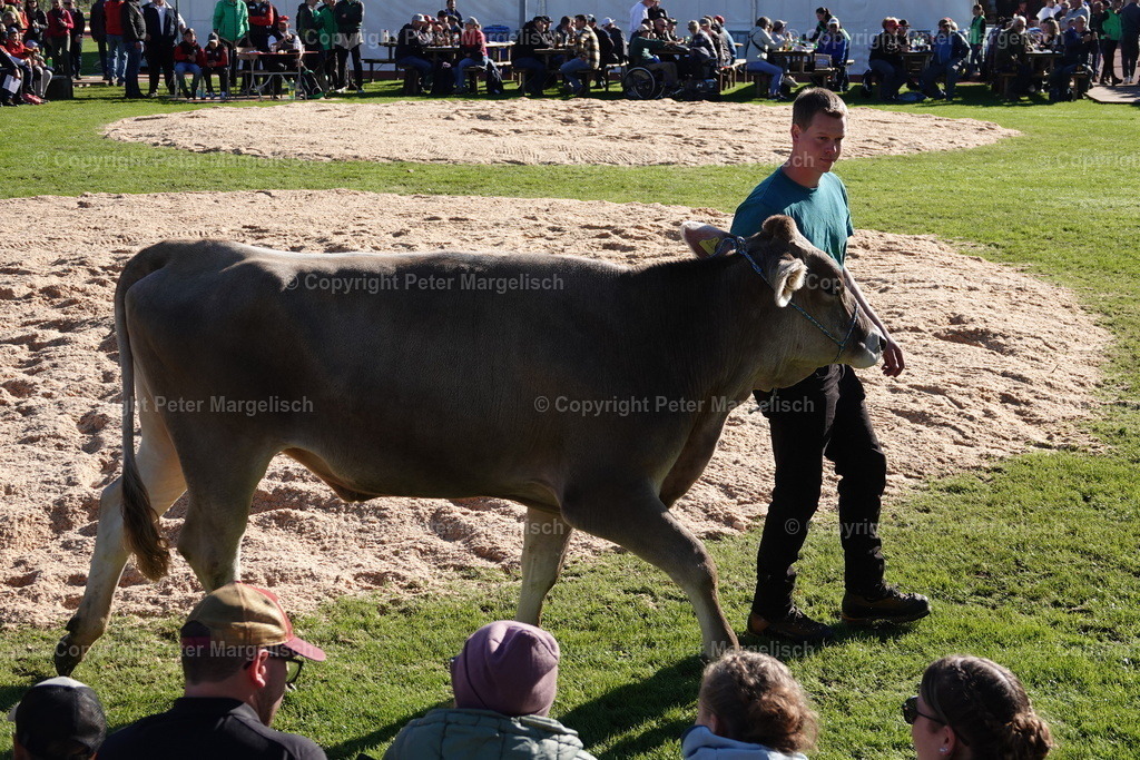 DSC01962 | Schwingen - Realisiert mit Pictrs.com
