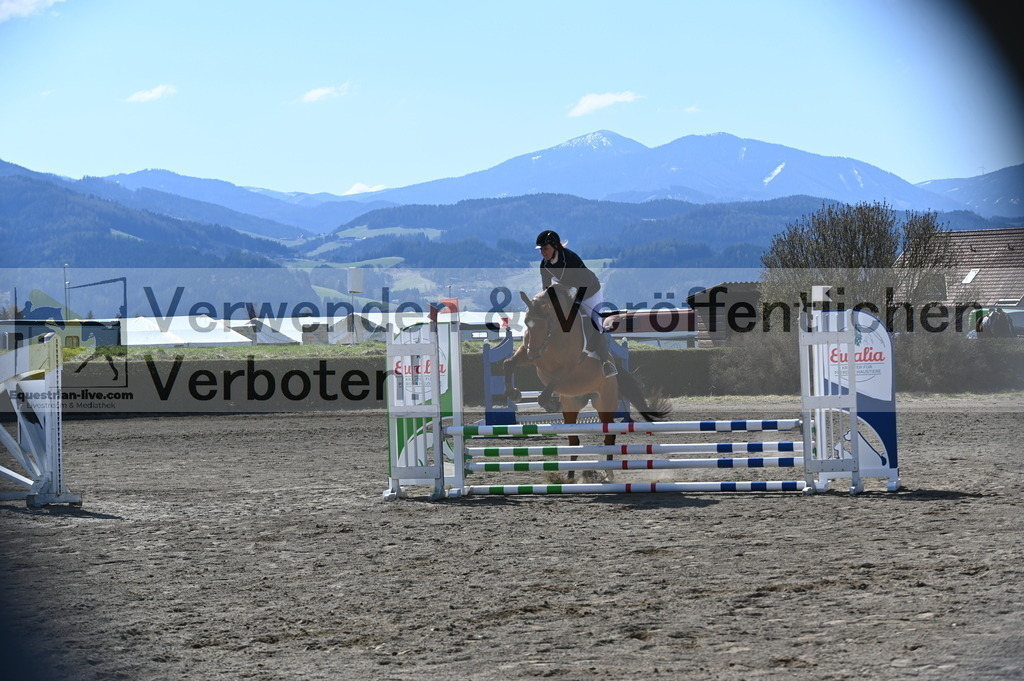 DSC_4167 | equestrian-live-com