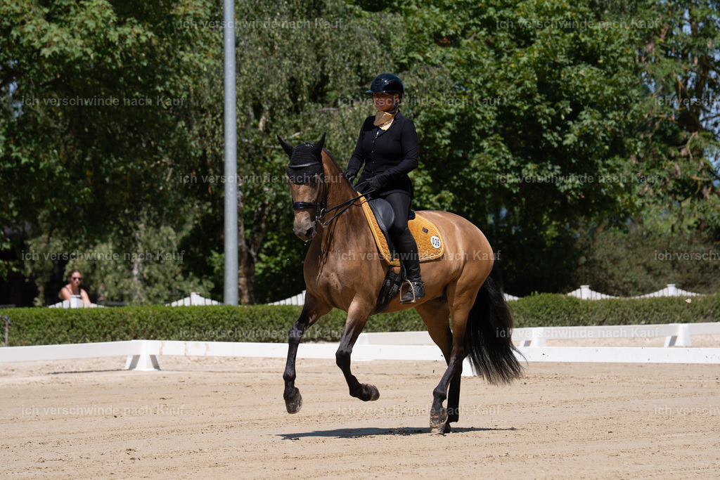 WS_DR_36_sinafilmart_IN08465 | working equitationturnier fotograf videograf stoibphotography marixx film working equitation deutschland reitsport turnierfotografie eventfotografie equestrian events