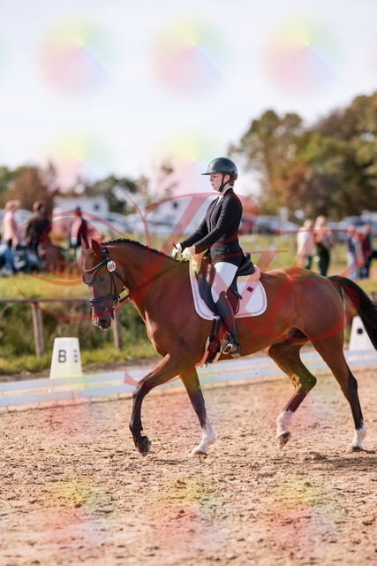 2026_10_03_Siefer-Hof_131706_Z81_65388679 | Professionelle Reitsport-, Turnier- und Eventfotografie von Robert Broda. Galerien mit ausgewählten und bearbeiteten Bildern direkt online ansehen und bestellen.