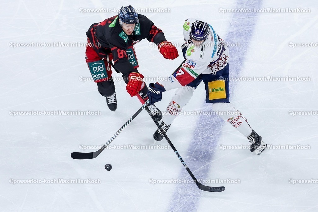 DEG12012501001 | 12.01.2025, Eishockey, Penny DEL, Düsseldorfer EG - Eisbären Berlin, PSD-BANK Dome: Philip Gogulla (DEG #87) im Zweikampf gegen Eric Hördler (Eisbären Berlin #77)