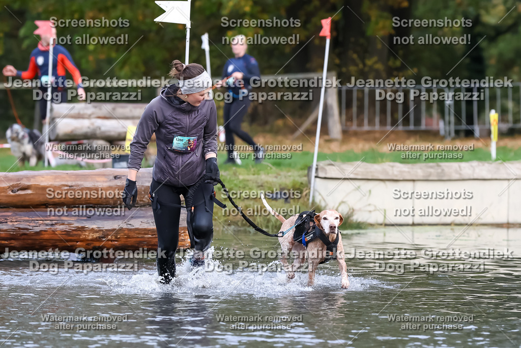 Dog Paparazzi - Strongdog 10-25-6782 | Dog Paparazzi Jeanette Grottendiek Fotografie & Videografie - Realisiert mit Pictrs.com