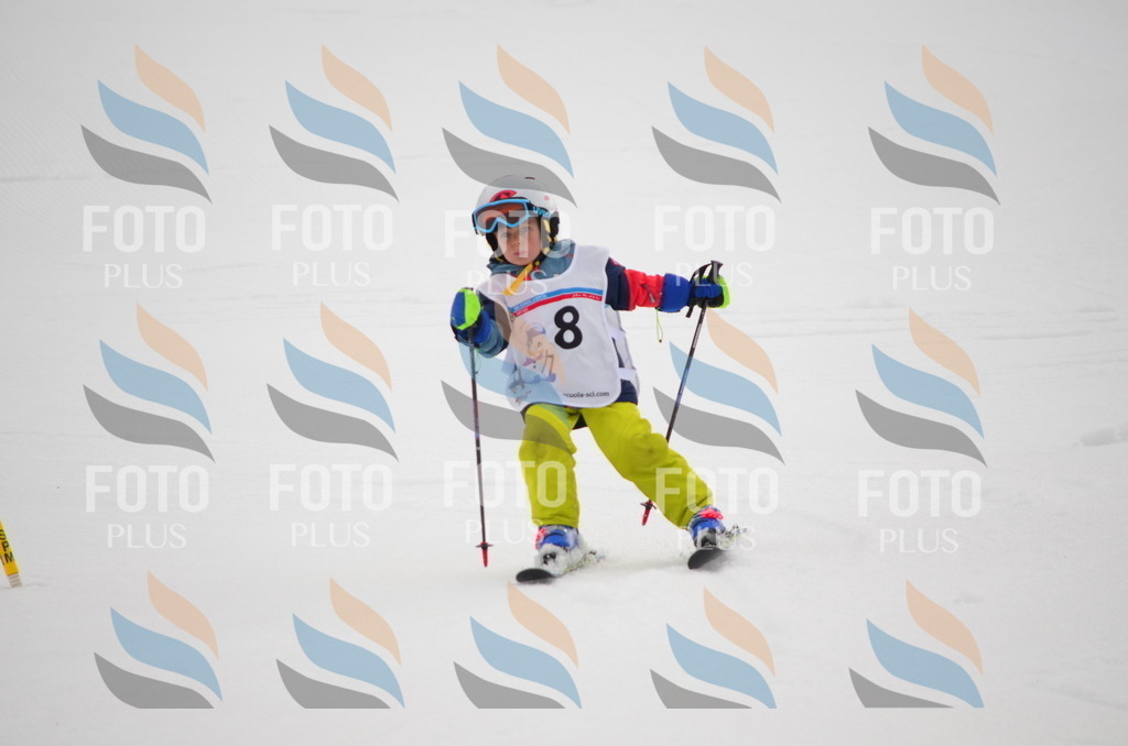 B9636 | holidayphoto