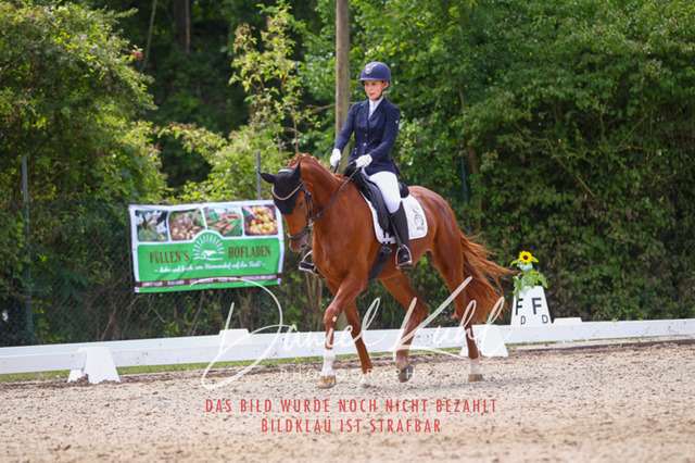 DKP40715 | Turniersportfotografie; Pferdefotografie; Dressurfotografie