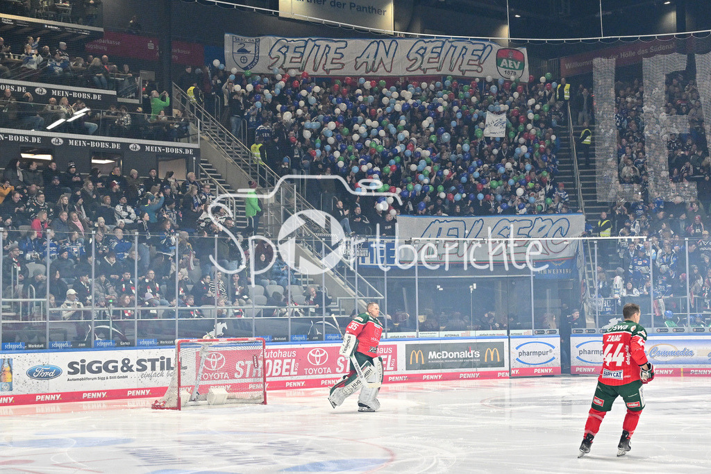 Augsburger Panther - Schwenninger Wild Wings | Die Fans der Gaeste meiner Choreo vor Spielbeginn / Ultras / DEL: Augsburger Panther - Schwenninger Wild Wings, Curt Frenzel Stadion am 02.02.2025