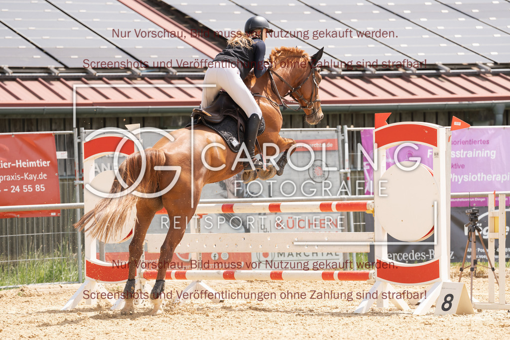 DSC06597 | Springturnier_Ehingen_Mai_2026, meike_ramminger, Catara_8