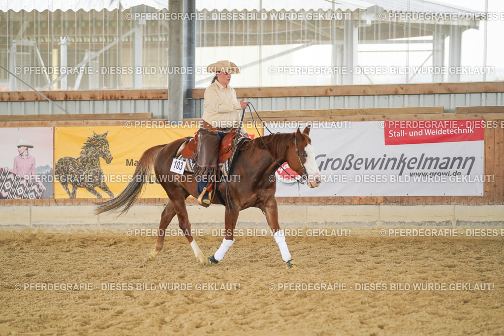 DSC06300 | Pferdegrafie