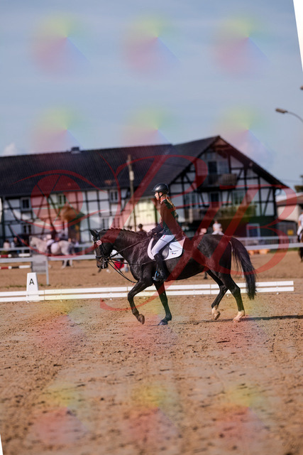 2026_10_03_Siefer-Hof_115442_Z81_94391581 | Professionelle Reitsport-, Turnier- und Eventfotografie von Robert Broda. Galerien mit ausgewählten und bearbeiteten Bildern direkt online ansehen und bestellen.