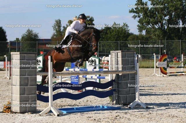 OHT 2022 Röhlingen (137) | Fotografie, Tiere, Hunde, Katzen, Pferde, Sportfotografie, Fotosession, Tierfotografie, Turnierfotografie, Fotografin, Fotograf - Realisiert mit Pictrs.com