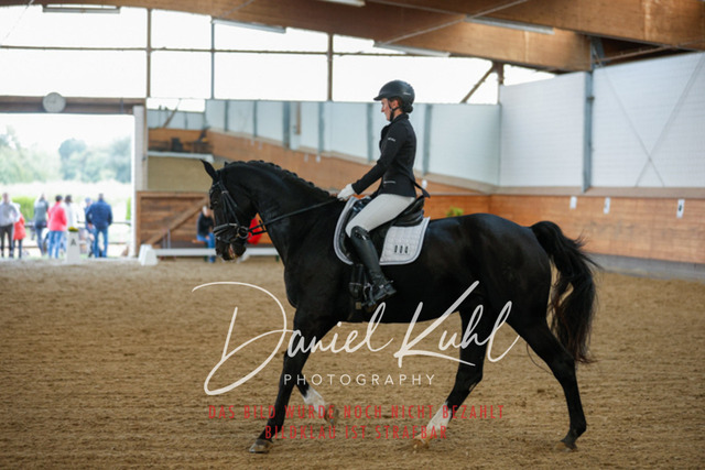 _62_6671 | Turniersportfotografie; Pferdefotografie; Dressurfotografie