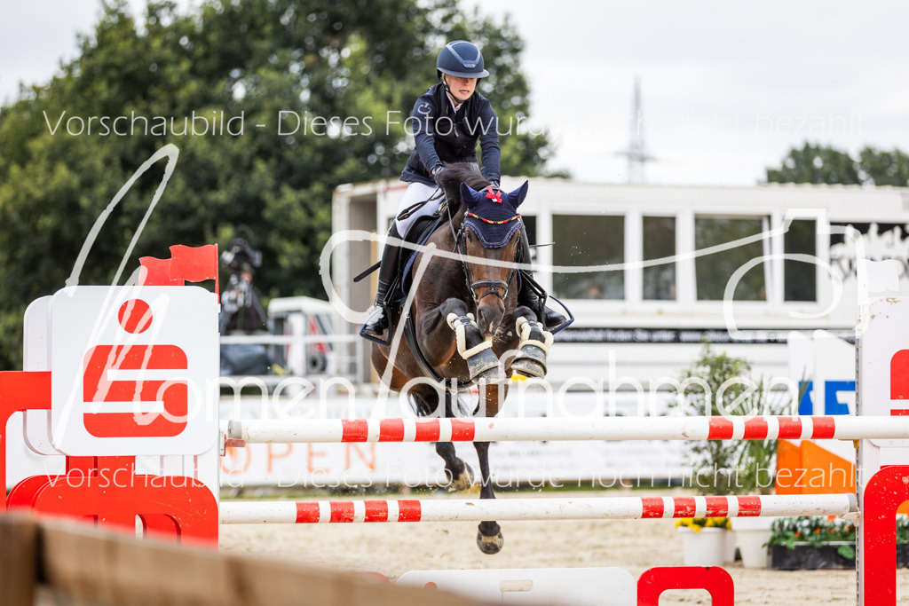 BHO-2PhSpr-M-5-2405 | MomenTaufnahmen Pferdesportfotos