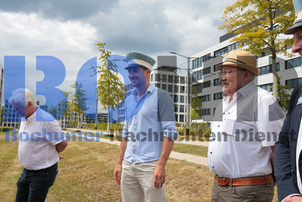 Eicheingrabung | Eicheingrabung - Realisiert mit Pictrs.com