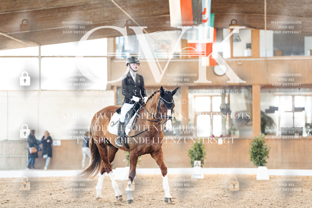 CK906673 | Turnierfotografie Pferdefotografie Trier Rheinland-Pfalz Pferdesport Reitsport Tierfotografie Sportfotografie Pferdevideo Pferdevideografie Equestrianvideography equestrianphotography  - Realisiert mit Pictrs.com