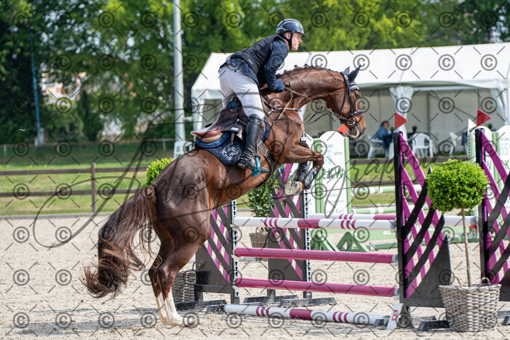 KPT_2674 | andre_photographic