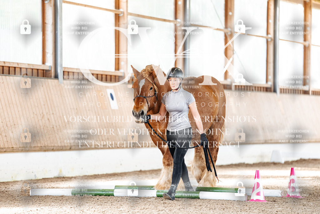 CK905435 | Turnierfotografie Pferdefotografie Trier Rheinland-Pfalz Pferdesport Reitsport Tierfotografie Sportfotografie Pferdevideo Pferdevideografie Equestrianvideography equestrianphotography  - Realisiert mit Pictrs.com