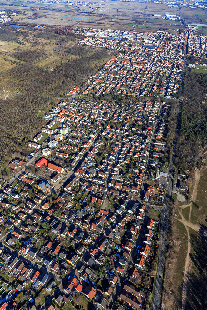 Luftbild: Ortsansicht aus Südwesten in Birkenheide im Bundesland Rheinland-Pfalz in Deutschland. Foto: IMG_125413.jpg vom 21.02.2021 durch Werner Riehm/FLY-FOTO.de