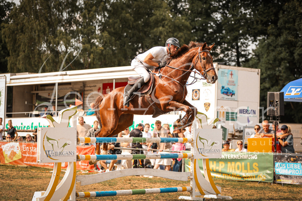 27.SoSpM00156 | Leoni Ertmer Photography - Realisiert mit Pictrs.com