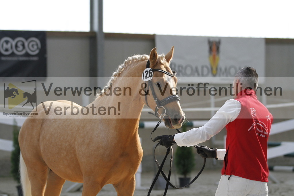 _MG_9722 | equestrian-live-com